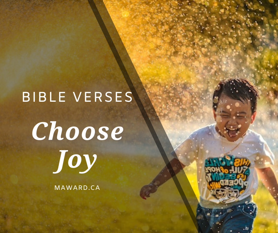 Sommet Choose France du 19 mai 2025 | Ville de Versailles