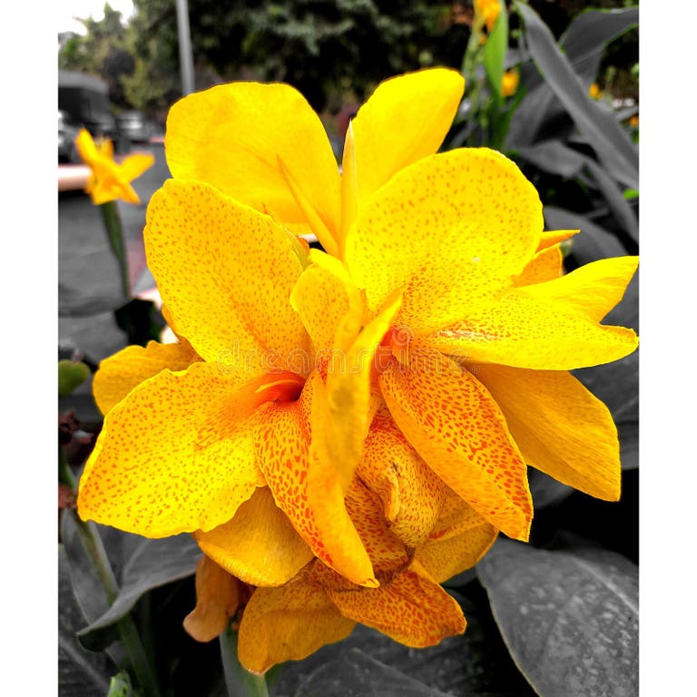 Find 2026 Chevrolet Silverado EV Tires | Goodyear Canada Tires Find 2026 Chevrolet Silverado EV Tires | Goodyear Canada Tires